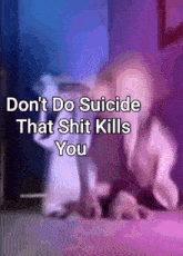 Yoda Don'T Do Suicide GIF - Yoda Don'T Do Suicide That Shit Kills You GIFs