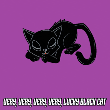 a black cat with yellow eyes is surrounded by lightning and the words " very very very very lucky black cat "