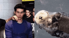 a man in a blue shirt is next to an otter