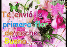 Noche Buena Primera Flor GIF - Noche Buena Primera Flor Te Envio GIFs