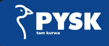 a blue background with a white logo for pysk