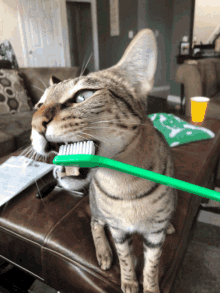 Brushie Teeth GIF - Brushie Brush Teeth GIFs
