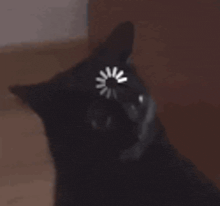 a close up of a black cat with a loading wheel on its head