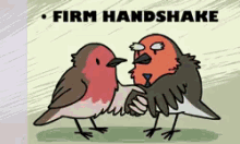 Bird Hire GIF - Bird Hire Job GIFs