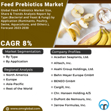 Feed Prebiotics Market GIF - Feed Prebiotics Market GIFs