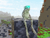 Frog Minecraft GIF - Frog Minecraft GIFs