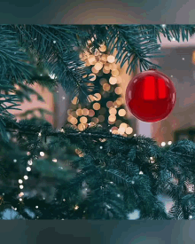 Christmas GIF - Christmas GIFs