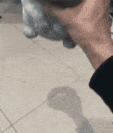 a shadow of a person is cast on a white tile floor