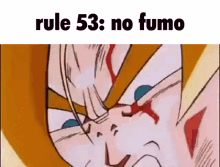 Rule53no Fumo Rule GIF - Rule53no Fumo Rule53 No Fumo GIFs
