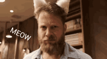 Mumford And Sons Ted Dwane GIF - Mumford And Sons Ted Dwane Meow GIFs