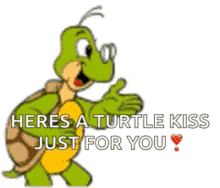 Turtle Kiss GIF - Turtle Kiss Flying Kiss GIFs