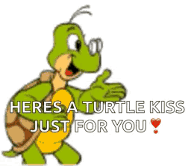 Turtle Kiss GIFs