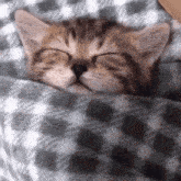 a kitten is sleeping under a blanket on a bed .