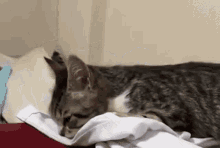 a cat is laying on a pile of clothes on a bed .