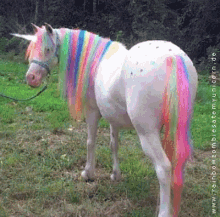 Rainbow Pony GIF - Pony Rainbow Rainbow Pony GIFs