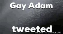 Gay Adam GIF - Gay Adam Ayyyitsnotadam GIFs