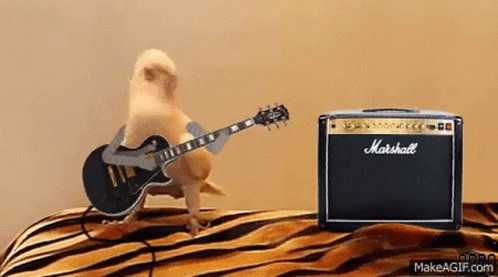 Scott Dude GIF – Scott Dude Guitar – Ищите GIF-файлы и обменивайтесь ими