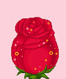 Rose Bloom GIF - Rose Bloom Flowers For You GIFs