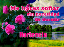 Hortencia Hortencia Name GIF