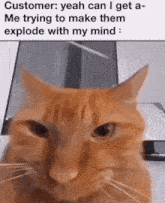 Cat Stare GIF - Cat Stare Mind Control GIFs