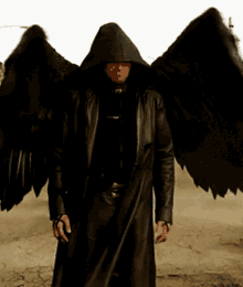 Fallen Angel Angel GIF - Fallen Angel Angel Shielding Himself With His Wings GIFs