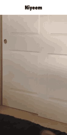 a white door with the word niyeem at the top of it