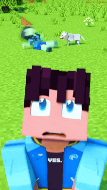a minecraft character wearing a blue shirt with the word yes on it