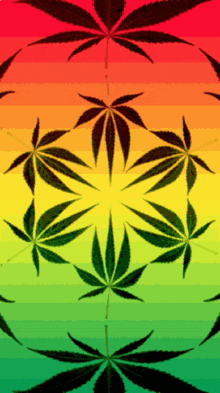 marijuana leaves are arranged in a circular pattern on a colorful background