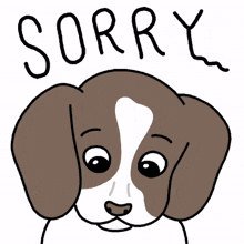 sorry apologies
