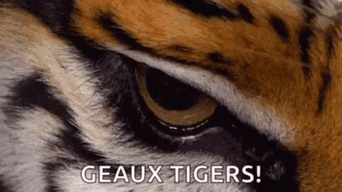 Geaux Tigers GIFs | Tenor