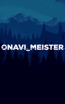 Navi Meister GIF - Navi Meister GIFs