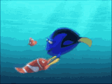 Dory Remember GIF - Dory Remember Marlin GIFs