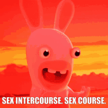 have sex sex sex intercourse sex course rabbid
