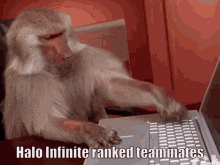 halo infinite ranked teammates halo infinite