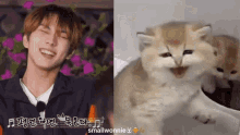 Jungwon Enhypen GIF - Jungwon Enhypen Cat GIFs