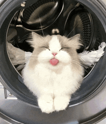 a cat is sticking its tongue out while sitting inside of a washing machine