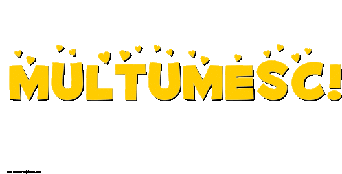 Multumesc Multumire Sticker - Multumesc Multumire Thank You Stickers