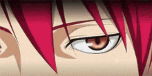 a close up of a person 's eyes with red hair