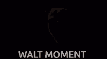 Walter Scott Walt Moment GIF - Walter Scott Walt Moment GIFs