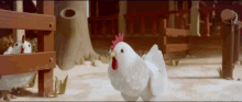Chicken Angry GIF - Chicken Angry Eyes GIFs