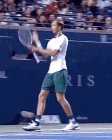 Daniil Medvedev Up And Down GIF - Daniil Medvedev Up And Down Tennis GIFs