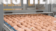 Extreme Eggstreme GIF - Extreme Eggstreme Utmost GIFs