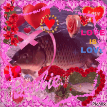Carp Fish GIF - Carp Fish Love GIFs