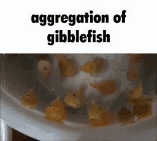 glaggle lumpfish