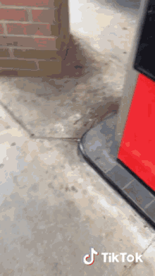 Gas Confused GIF - Gas Confused Spin GIFs