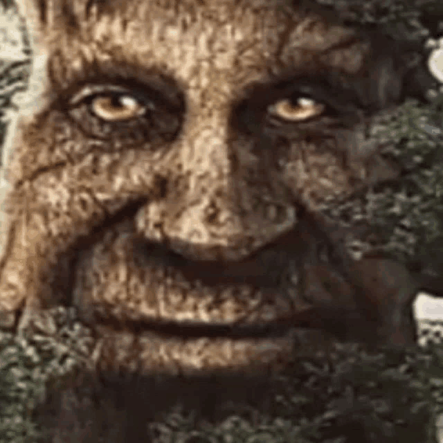 Wise Mystical Tree Half Life2 GIF - Wise Mystical Tree Half Life2 Half Life  - Discover & Share GIFs