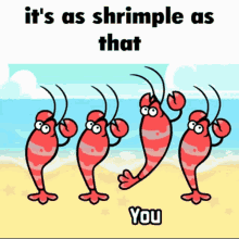 shrimp heaven