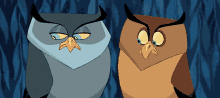 Pocahontas Owls GIF