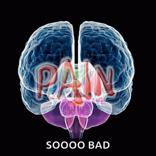 Pain Painful GIF – Pain Painful Migraine – discover and share GIFs