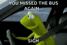 Kermit The Frog Driving GIF